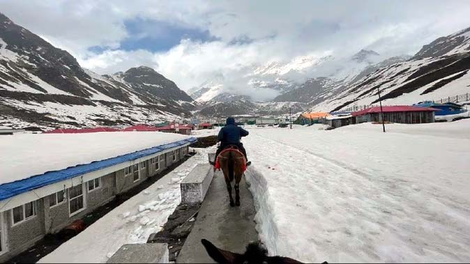 चारधाम यात्रा पर