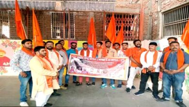 हिंदूवादी संगठन