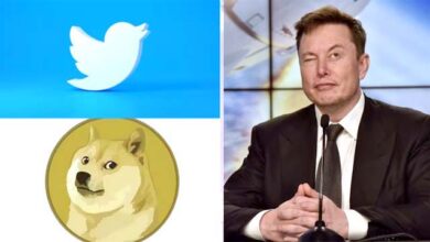 नीली चिड़िया