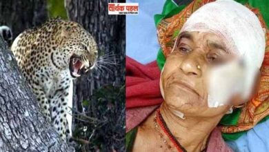 दराती