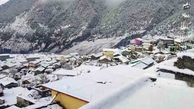 सफेद चादर