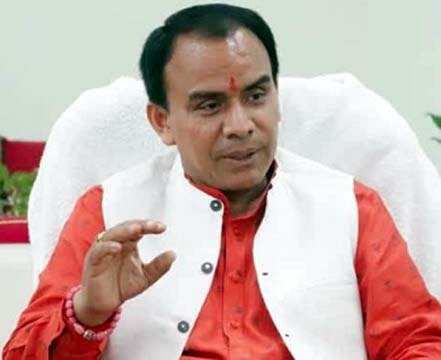 33 प्रतिशत