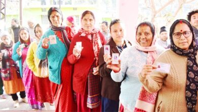 नगर निकाय