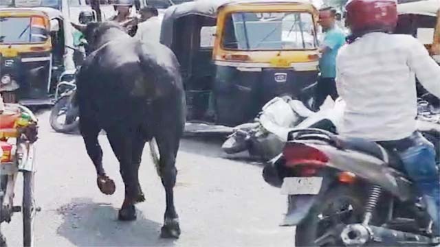 टक्कर