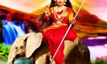 हाथी पर