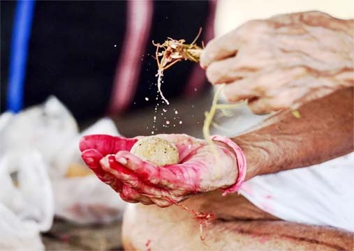 पितृ पक्ष