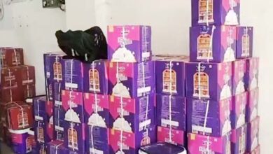 खाद्य पदार्थों