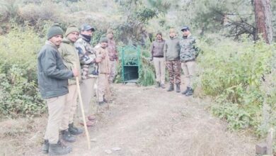 डोभाल ढांडरी