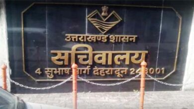 नियमितीकरण