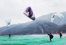 फेस्टिवल