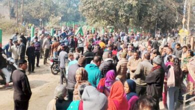 तारबाड़