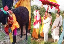 मां नंदा