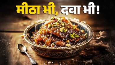 सर्दियों