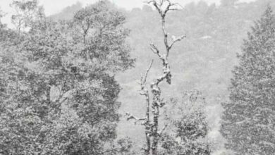 चेतावनी