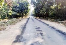 चिल्लरखाल मोटर