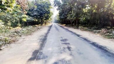 चिल्लरखाल मोटर