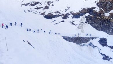 केदारनाथ