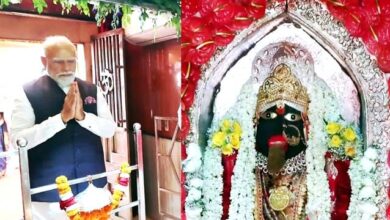 डाट काली