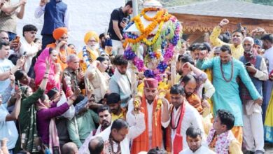 विग्रह उत्सव डोली