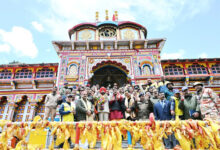 बदरीविशाल