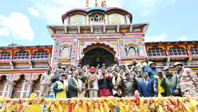 बदरीविशाल