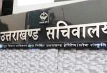 उपनल