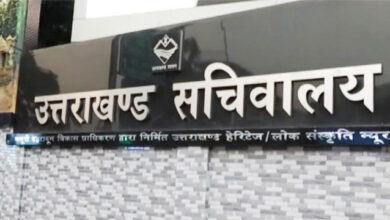 उपनल