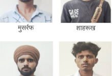 एसटीएफ