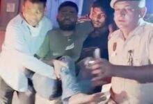 महरौली