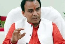 विश्वविद्यालयों