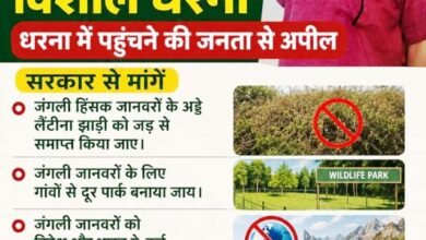 थलनदी