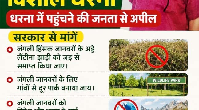 थलनदी