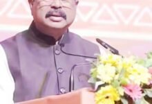 लैंग्वेज