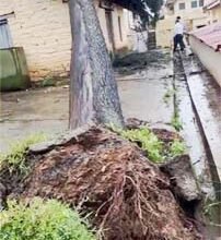 बारिश
