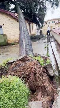 बारिश