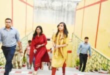 पिरूल