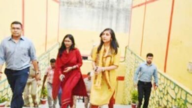 पिरूल