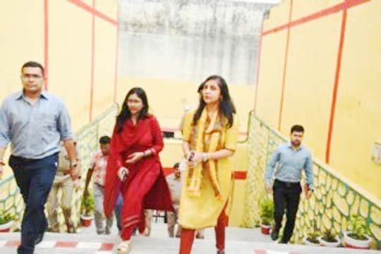 पिरूल