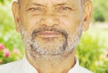 थलनदी झील परियोजना