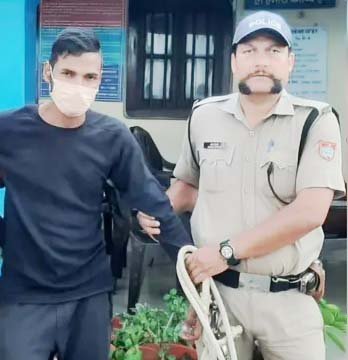 रानीखेत