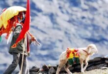 मां नंदा देवी