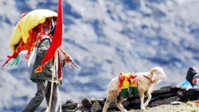 मां नंदा देवी