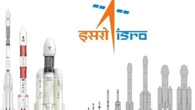 अप्रेंटिसशिप