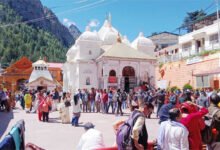 अलर्ट