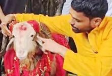यात्रा
