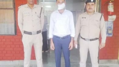 भर्ती