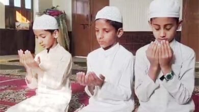 मदरसा