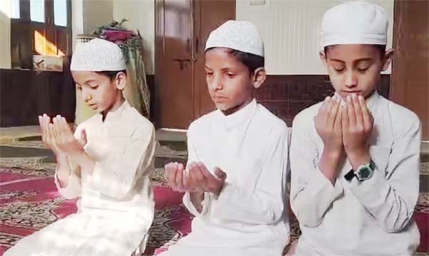 मदरसा