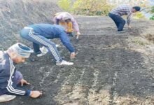 जायका प्रोजेक्ट