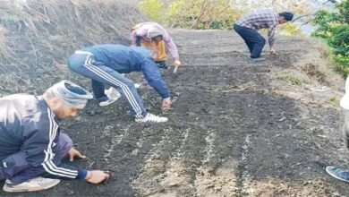 जायका प्रोजेक्ट